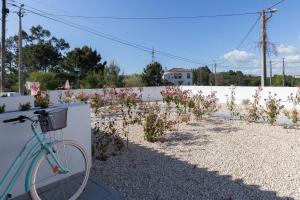 Foto dalla galleria di Green Villas Douro a Gondomar