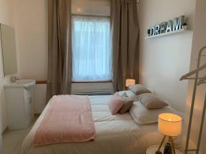 ein Schlafzimmer mit einem Bett mit Kissen und einem Fenster in der Unterkunft CHARMANT T2 PROCHE CENTRE VILLE PLAGE JARDIN DIOR 50 m2 in Granville