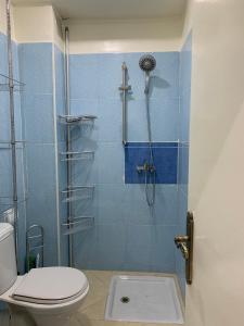 W łazience znajduje się prysznic i toaleta. w obiekcie Résidence Al Osra w mieście Agadir