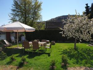 Zahrada ubytování Eifelblümchen