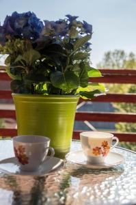 Gallery image of Sunshine Apartment Velence in Velence
