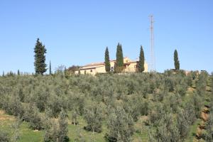 a house on top of a field of trees at Donzellino in Massa Marittima