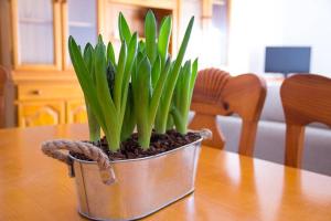 TV a/nebo společenská místnost v ubytování APARTAMENTO LOS NARCISOS