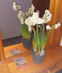 Fotografie z fotogalerie ubytování APARTAMENTO LOS NARCISOS v destinaci Chulilla
