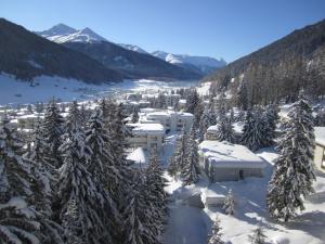 ダボスにあるApartment Alpenblick Superiorの雪に覆われた木々が茂る山のリゾート