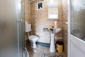 a small bathroom with a toilet and a sink at Casa de vacanta Jeny in Novaci-Străini +36 photos