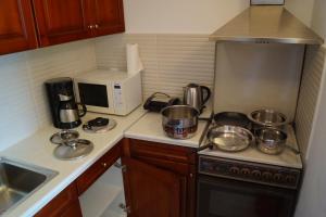 A kitchen or kitchenette at Τhe Sunny Apartments