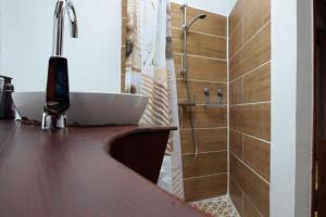 La salle de bains est pourvue d'un lavabo et d'une douche. dans l'établissement Finca Casa Madera, à Icod de los Vinos