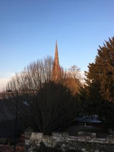a church steeple in the distance with a tree in the foreground at Cathedral View in Salisbury
