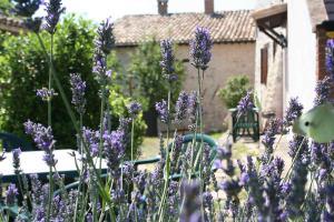 A garden outside Borgo Di Fonni