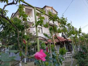 a house with a pink flower in front of it at Villa Osmani in Durrës