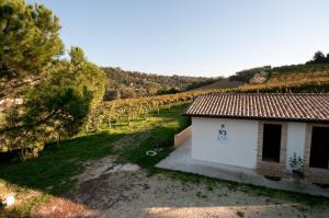 uma pequena casa branca numa vinha com árvores em Casa dell'Orto em San Vito Chietino