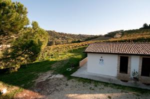 una pequeña casa blanca en un viñedo con árboles en Casa dell'Orto, en San Vito Chietino