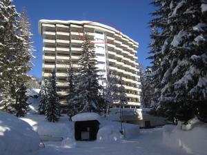 ダボスにあるApartment Alpenblick Superiorの雪中のクリスマスツリーのある大きな建物