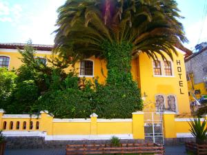 A garden outside The Yellow House