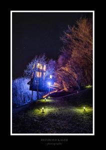 Hardanger Panorama Lodge في أولفيك: اطلالة ليلية على حديقة بها اشجار وانوار