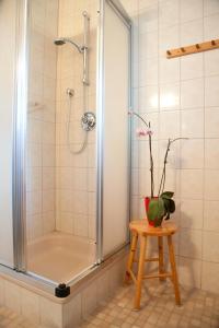 Kúpeľňa v ubytovaní Landhaus Manuela & Haus Michael + 37 fotografií