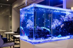 Φωτογραφία από το άλμπουμ του Naha Tokyu REI Hotel στη Νάχα