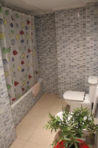 a bathroom with a toilet and a shower curtain at Sunny Apartments, Historical Centre Alicante in Alicante