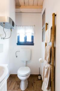 a bathroom with a toilet and a sink at Apartments Novka in Izola +53 photos