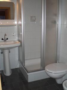 uma casa de banho com um chuveiro, um WC e um lavatório. em Huberhof em Terento