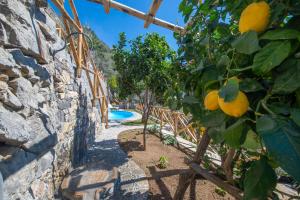 a garden with a lemon tree and a pool at Le Contrade by Sosòre Holiday Homes -Amalfi Coast in Furore