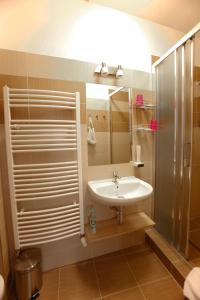 een badkamer met een wastafel en een douche bij Hotel Paradies in Teplice