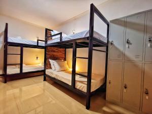 ein Zimmer mit zwei Etagenbetten in einem Zimmer in der Unterkunft Bakawan Hostel in Coron