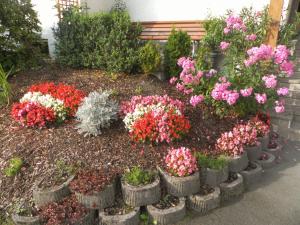 A garden outside Pension Schweizerhof