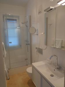 ein Bad mit einer Dusche, einem WC und einem Waschbecken in der Unterkunft Hans Mauracher Schlössl in Graz