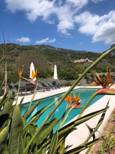 a swimming pool with chairs and a mountain in the background at Can Busquera in Sóller