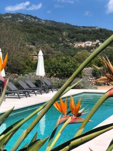 uma vista para uma piscina com cadeiras e um guarda-sol em Can Busquera em Sóller
