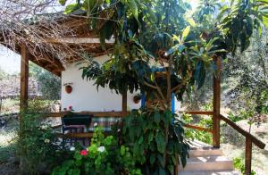 a small house with a thatched roof in a garden at KARABURUN KÖYEVİ Pansiyon in Saip