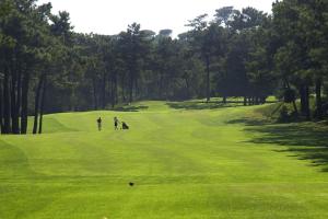 Golf v vily nebo okolí