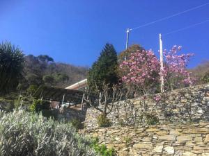 eine Steinwand mit rosa Blumen darüber in der Unterkunft Vista Portofino in Rapallo