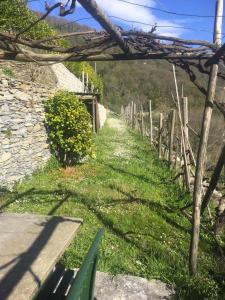 einen Weg mit einem Zaun und einer grünen Bank in der Unterkunft Vista Portofino in Rapallo