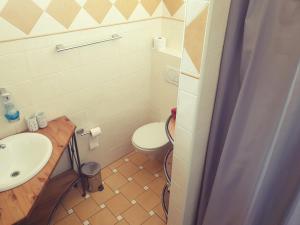 ein kleines Bad mit WC und Waschbecken in der Unterkunft Penzion a Restauracia Toldi in Galanta