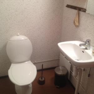 a bathroom with a toilet and a sink at Funäs Fjäll Lägenhet in Funäsdalen