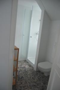 een badkamer met een toilet en een douche bij B&BtoB STEENGROEVE in Winterswijk