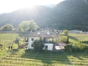 a white house in a field with a mountain at Weingut Hochleiten in Caldaro