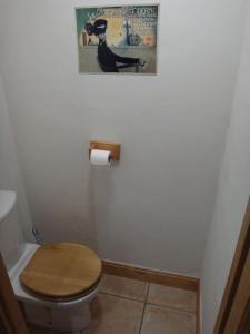 uma casa de banho com WC e uma fotografia na parede em Chalet Les Trappeurs em Les Carroz d'Arâches