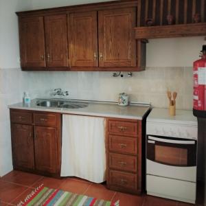 a kitchen with wooden cabinets and a sink and a stove at Apartamento 2 - Fundação de Veiros in Veiros