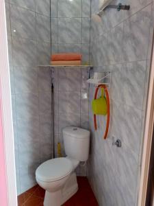 een kleine badkamer met een toilet en een douche bij Rumah Hentian Ayah in Kampung Kuala Besut