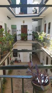 a courtyard with a pool in a building with plants at Luxury Apartment In Triana Close To The River in Seville