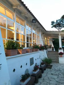 a building with potted plants on the side of it at Il Miraggio in Fregene