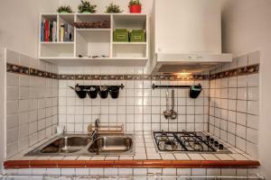 a kitchen with a sink and a stove at Palatino Terrace in Rome