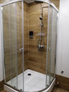 サラトフにあるАпартаменты "Атлант"のバスルーム(ガラス張りのシャワー付)が備わります。