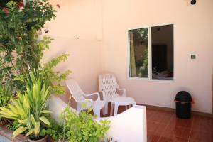 Dos sillas blancas en una habitación con plantas en Evila Inn - Thoddoo, en Thoddoo