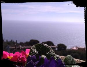 a view of the ocean with flowers in the foreground at Villa Azur Cap d'Ail in Cap d'Ail