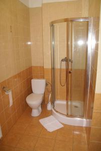 W łazience znajduje się toaleta i przeszklony prysznic. w obiekcie Hotel Prokocim w Krakowie